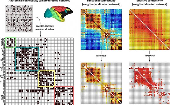 Cognitive and Behavioural Neuroscience